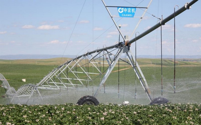 無土栽培,無土栽培技術,無土栽培設備