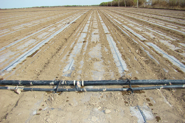 無土栽培，無土栽培技術，無土栽培設備