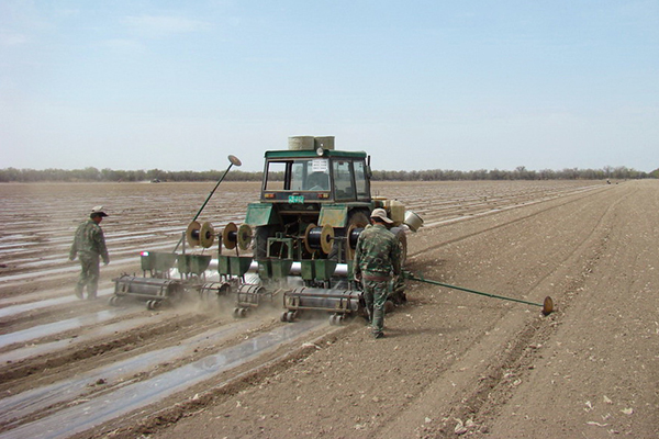 無土栽培，無土栽培技術，無土栽培設備