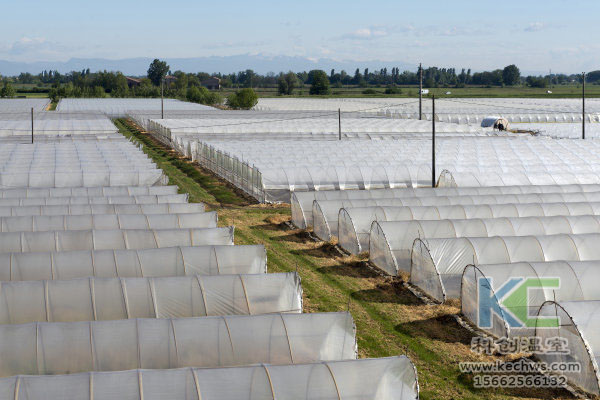 無土栽培，無土栽培技術，無土栽培設備