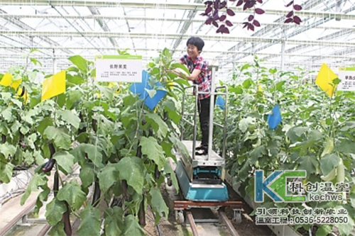 無土栽培，無土栽培技術(shù)，無土栽培設(shè)備