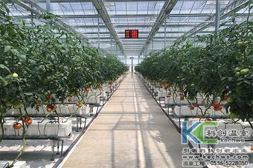 箱式無土栽培，無土栽培