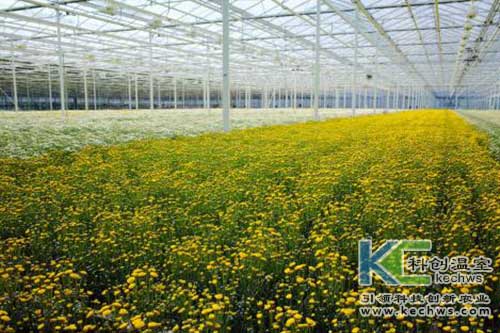 無(wú)土栽培，無(wú)土栽培技術(shù)，無(wú)土栽培設(shè)備