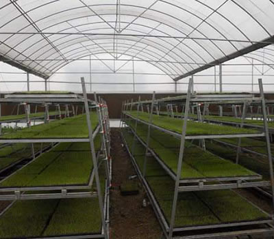 無土栽培，無土栽培技術，無土栽培設備