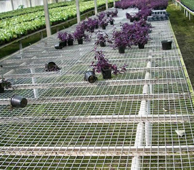 無(wú)土栽培，無(wú)土栽培技術(shù)，無(wú)土栽培設(shè)備