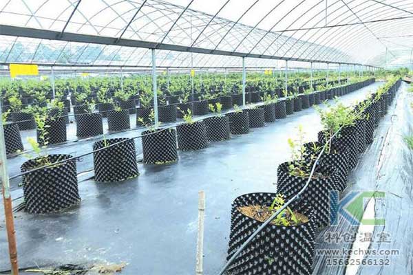 無土栽培，無土栽培技術，無土栽培設備