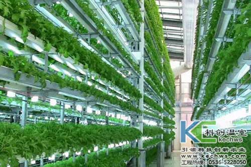 無土栽培，無土栽培技術，無土栽培設備