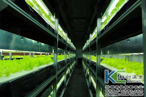 無土栽培，無土栽培技術，無土栽培設備