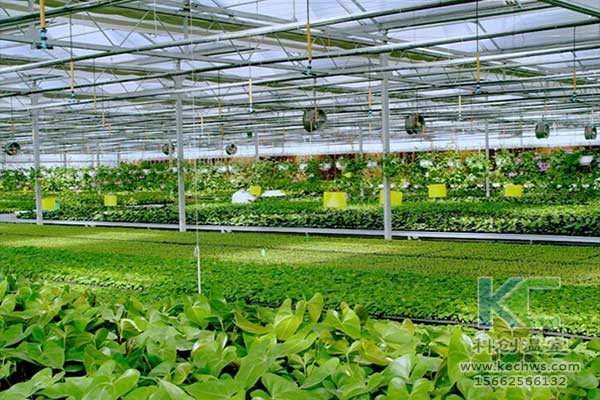 無(wú)土栽培，無(wú)土栽培技術(shù)