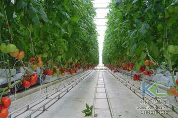 無土栽培，無土栽培技術(shù)，無土栽培設(shè)備