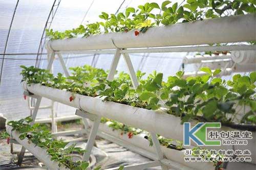 無(wú)土栽培，無(wú)土栽培技術(shù)，無(wú)土栽培設(shè)備