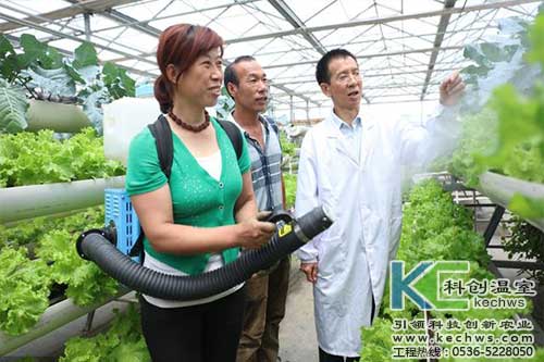 無土栽培，無土栽培技術，無土栽培設備