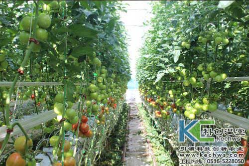 無土栽培，無土栽培技術，無土栽培設備