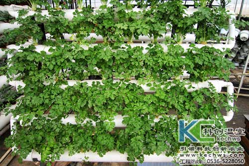 無土栽培，無土栽培技術，無土栽培設備