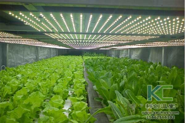 無土栽培、無土栽培基質