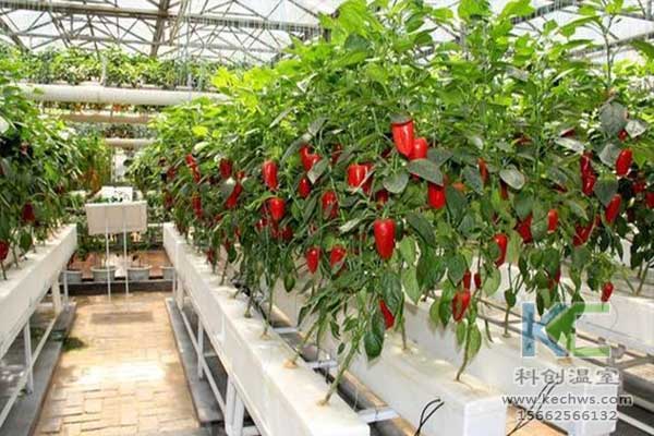 無土栽培，無土栽培技術，無土栽培設備