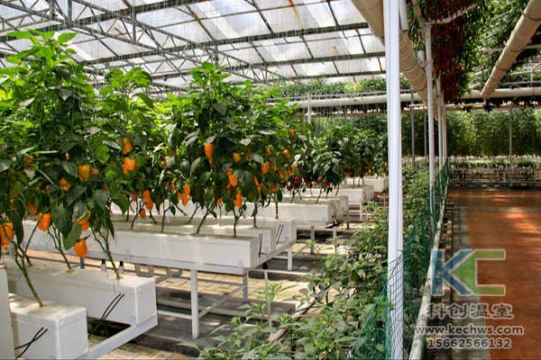 無(wú)土栽培，無(wú)土栽培技術(shù)