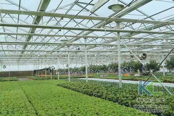 無土栽培，無土栽培技術，無土栽培設備