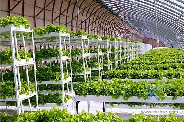 無土栽培，無土栽培技術