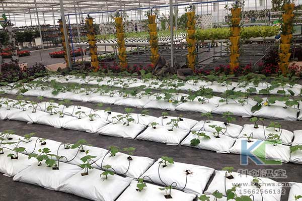 無(wú)土栽培，無(wú)土栽培技術(shù)，無(wú)土栽培設(shè)備