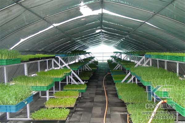 無(wú)土栽培，無(wú)土栽培技術(shù)