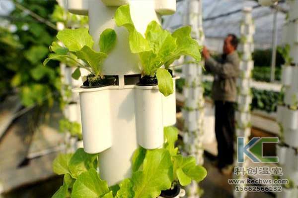 無土栽培，無土栽培技術，無土栽培設備