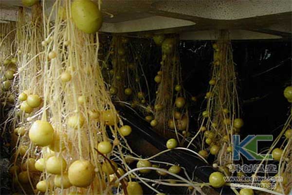 無土栽培，無土栽培基質