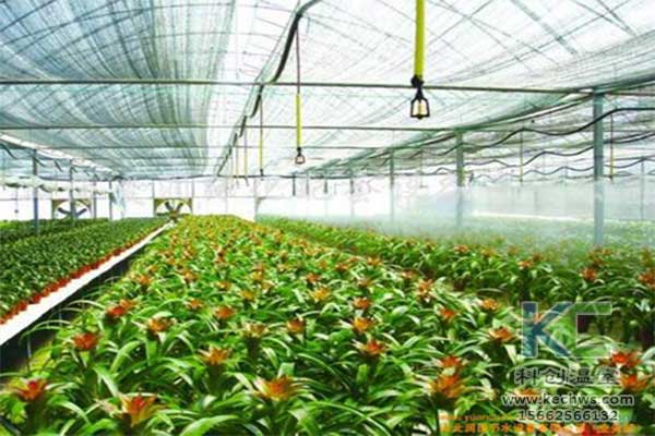 無土栽培，無土栽培技術，無土栽培設備