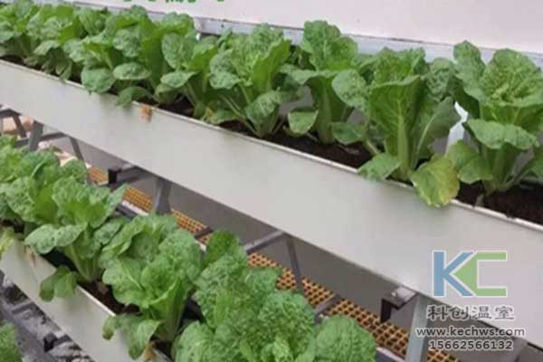 無土栽培，無土栽培技術，無土栽培設備