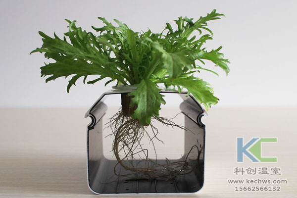 智能溫室無土栽培，無土栽培技術，溫室大棚，無土栽培