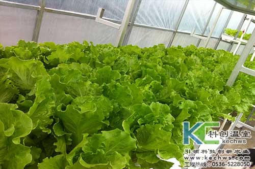 無土栽培，無土栽培技術(shù)，無土栽培設備