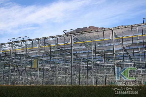 無土栽培，無土栽培技術，無土栽培設備