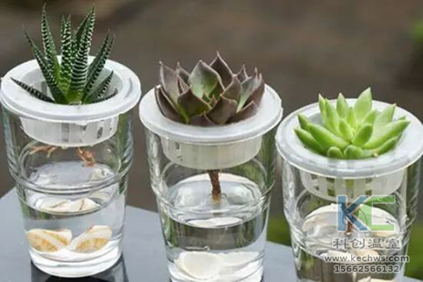 無(wú)土栽培,無(wú)土栽培技術(shù),無(wú)土栽培設(shè)備