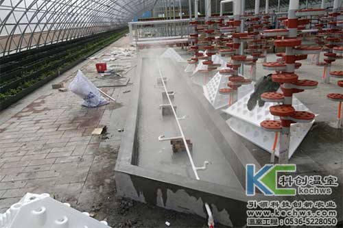 山西,無土栽培,無土栽培技術