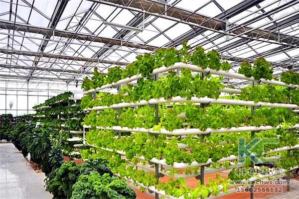 無土栽培，無土栽培技術，蔬菜栽培