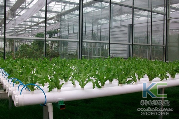 蔬菜無土栽培，無土栽培技術(shù)，無土栽培設(shè)備，無土栽培