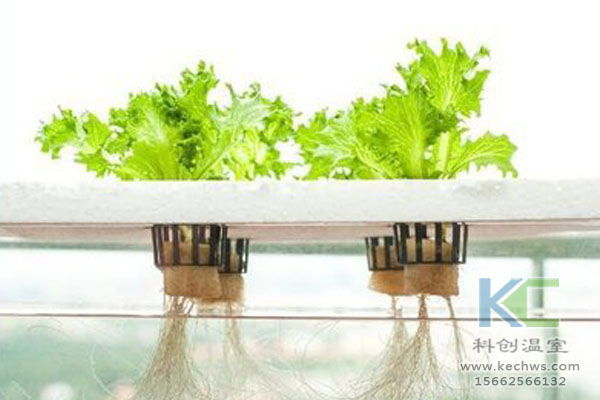 無土栽培技術，無土栽培設備，無土栽培，溫室大棚