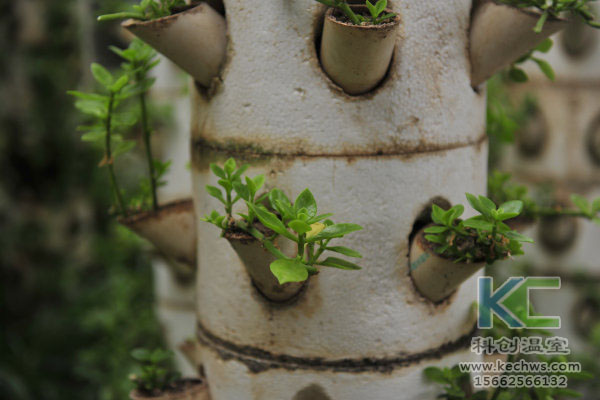 無土栽培,無土栽培技術,無土栽培設備