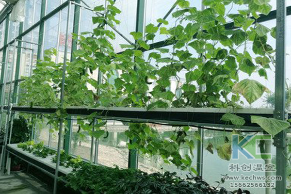 無土栽培技術,無土栽培設備,無土栽培,溫室大棚