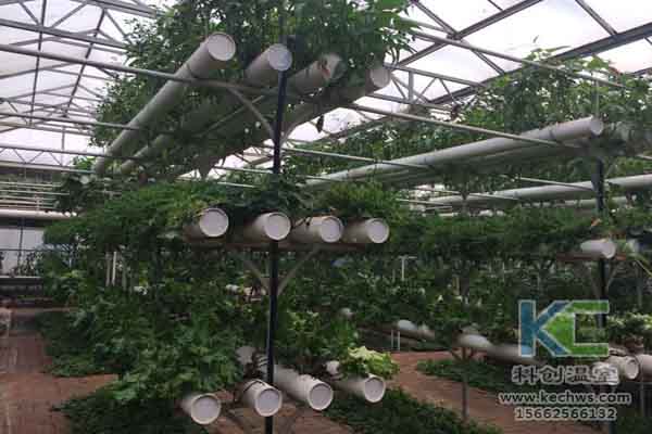 無(wú)土栽培技術(shù)，蔬菜大棚建設(shè)，溫室大棚，無(wú)土栽培