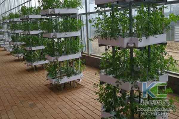無土栽培技術(shù),無土栽培設(shè)備,無土栽培,溫室大棚