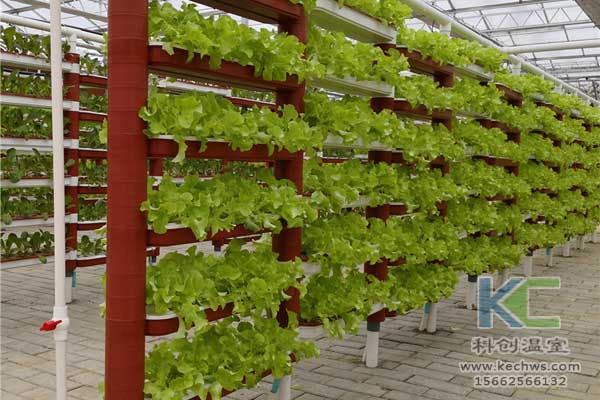 無土栽培技術，無土栽培設備，魚菜共生，溫室大棚