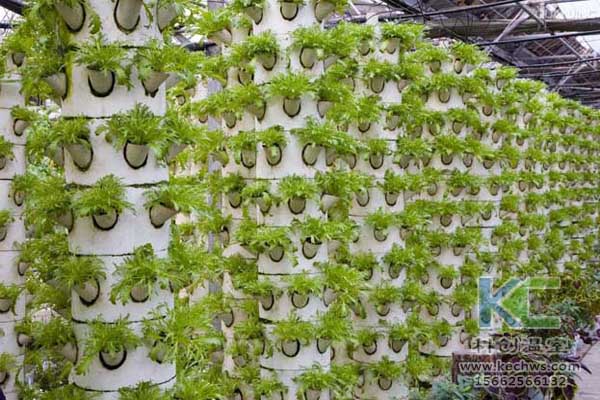 無(wú)土栽培，無(wú)土栽培技術(shù)，無(wú)土栽培設(shè)備