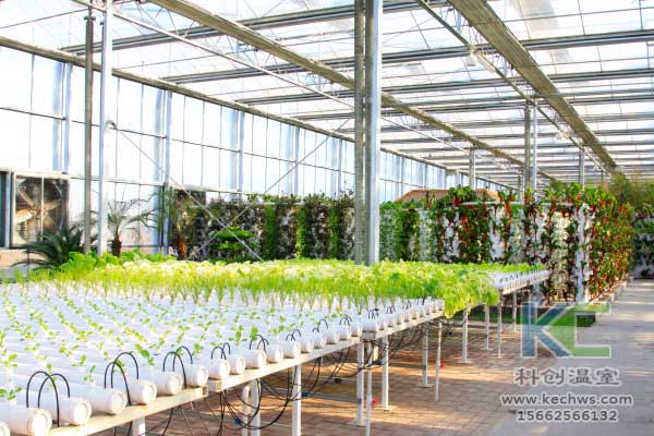 無土栽培，無土栽培技術，無土栽培設備，蔬菜栽培