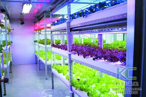 蔬菜無土栽培，無土栽培技術(shù)，無土栽培設(shè)備，無土栽培
