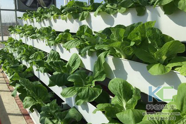 蔬菜無土栽培，無土栽培技術(shù)，無土栽培設(shè)備，無土栽培