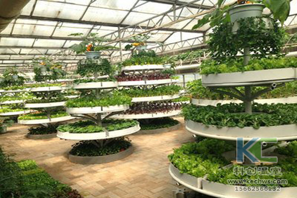 蔬菜無土栽培，無土栽培技術，無土栽培設備，無土栽培