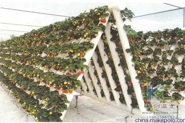 無土栽培，設備，無土栽培設備，無土栽培技術