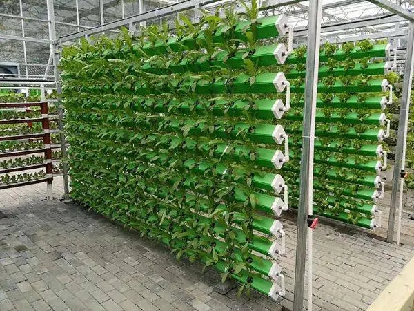 無土栽培，無土栽培技術，無土栽培設備