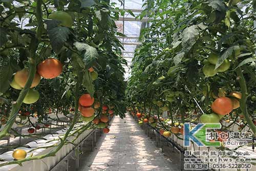 箱式無土栽培，無土栽培